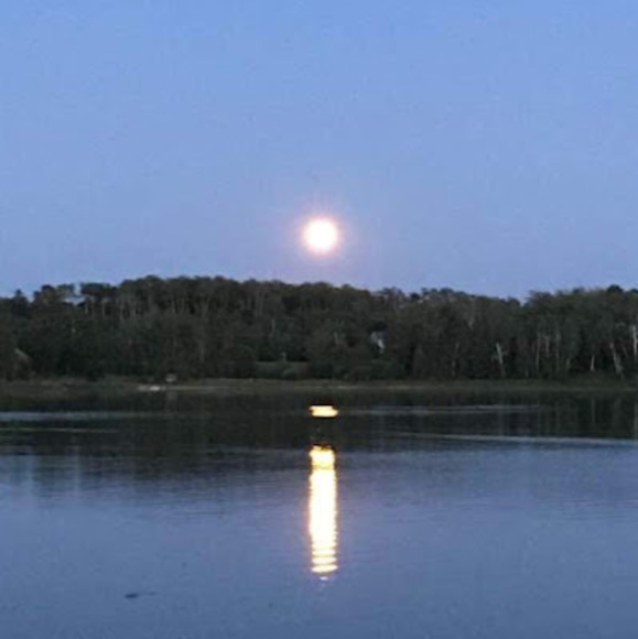 Meet your Posher, Shelly - Picture 1 of 1